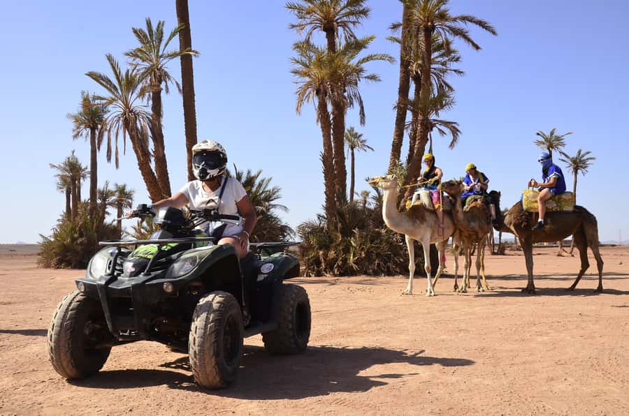 Marrakech:excursion quad in Oasis palm & jbilat desert,tea - Is $14 a good value?