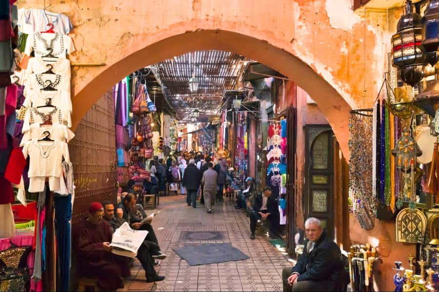 Marrakech Full-day excursion From Casablanca - A camel ride in the Palmeraie