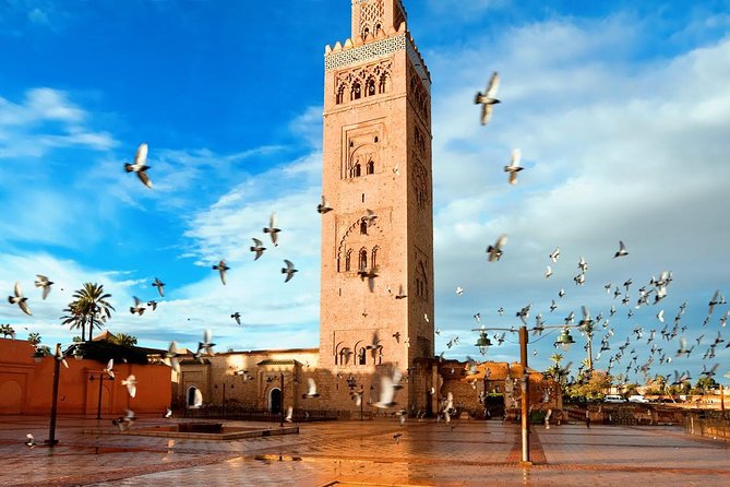 Marrakech Full Day Guided City Tour - Private Tour - A smart first look at Marrakech
