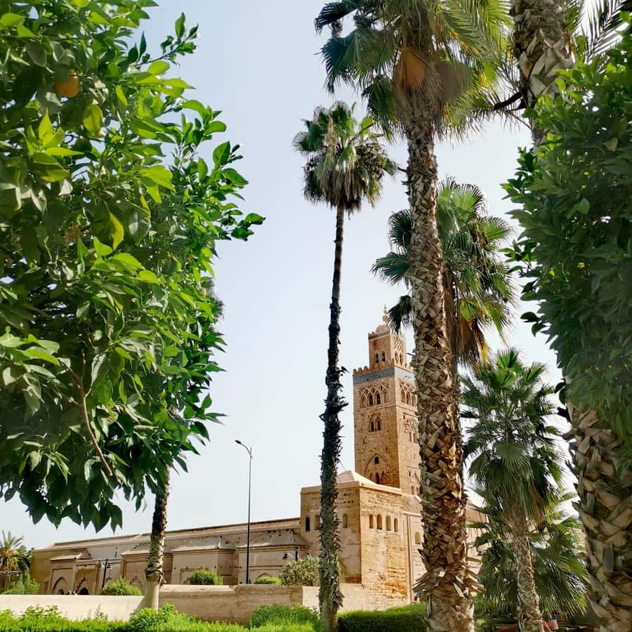 Marrakech: Guided Bike Tour with a local Guide - Returning to Gueliz and judging the three-hour pace