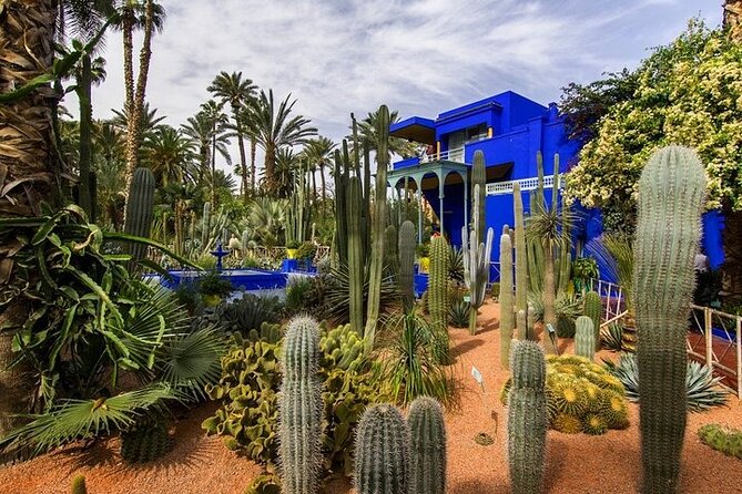 Marrakech: Guided City & Gardens Highlights Tour - Menara Garden and the city’s open horizon