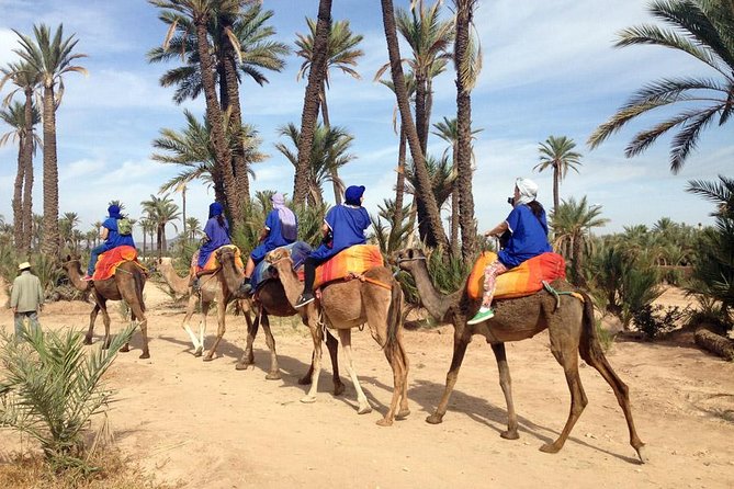 Marrakech: Half-Day Camel Ride in Palm Grove - A camel ride among Marrakech’s 100,000 palms