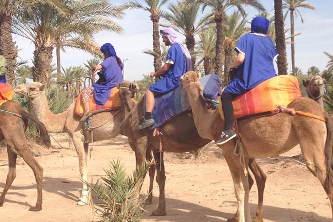 Marrakech: Half-Day Camel Ride in Palm Grove - Dressing for the Palmeraie