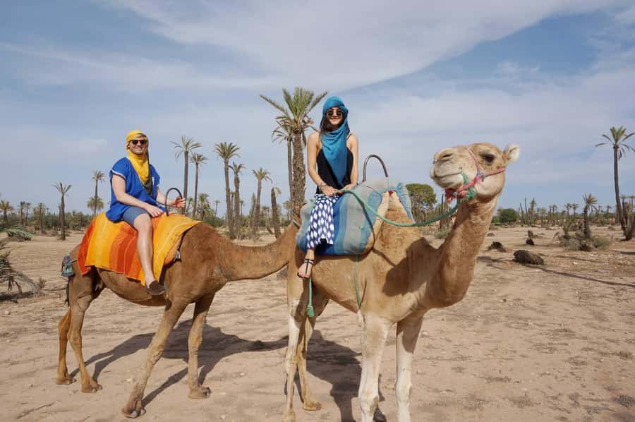 Marrakech: Half-Day Camel Ride in Palm Grove - Is $17 good value?
