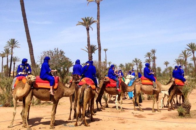 Marrakech: Half-Day Camel Ride in Palm Grove - Leaving Marrakech by van