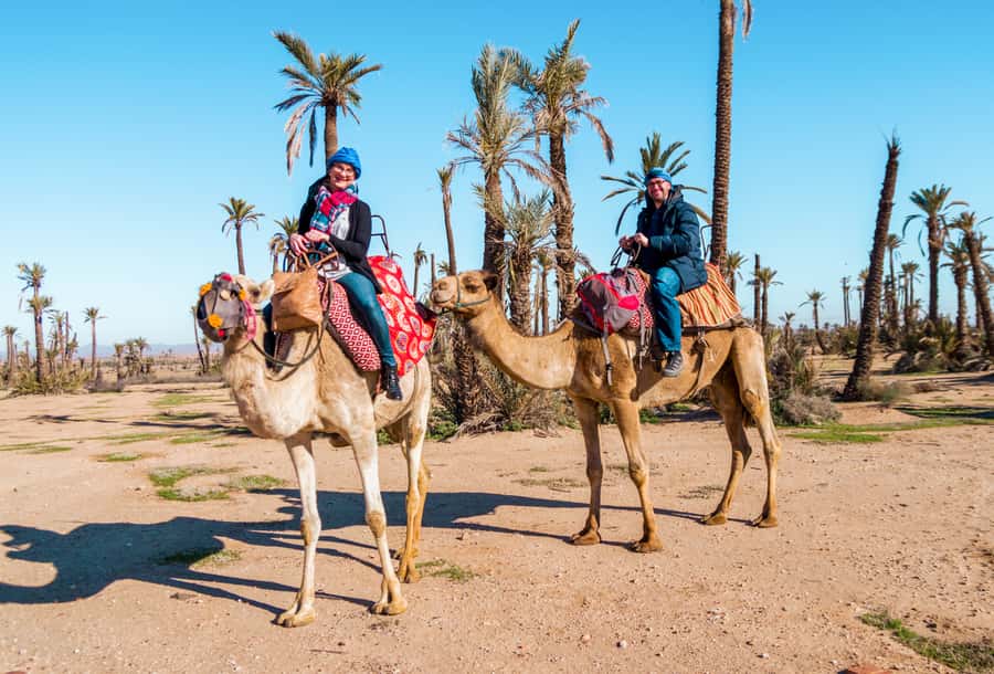 Marrakech: Half-Day Desert Quad Tour with Camel Ride - Two hours on the quad bike