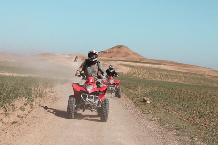 Marrakech: Half-Day Desert Quad Tour with Camel Ride - Price, timing, and practical value