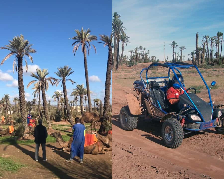 Marrakech: Half-day Dunes Trip With Buggy and Camel Ride - Key points before you book