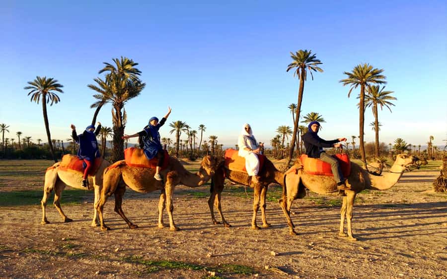 Marrakech: Half-day Dunes Trip With Buggy and Camel Ride - A four-hour desert outing with two very different moods