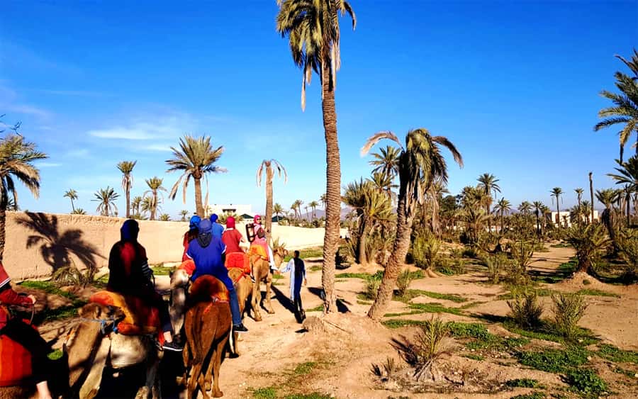 Marrakech: Half-day Dunes Trip With Buggy and Camel Ride - The one-hour camel ride