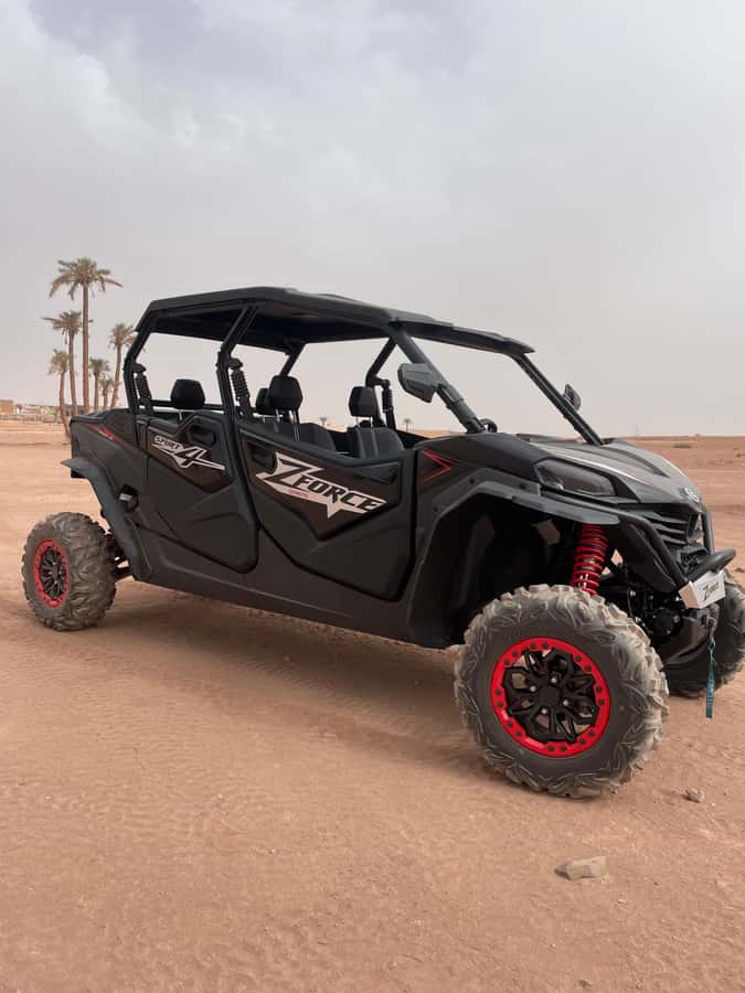 Marrakech: Half-day private tour in a 1000cc buggy in the Agafay Desert - Is $73 per person good value?