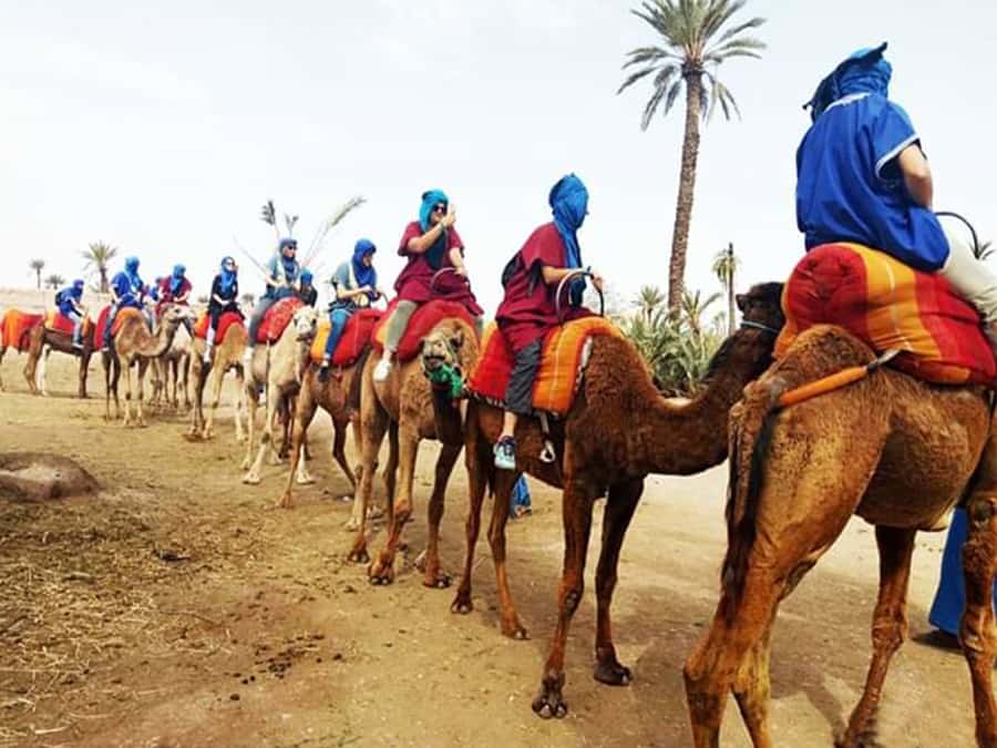 Marrakech: Half-Day Tour with Buggy Ride, Camel Ride and Spa - Key points to know before booking