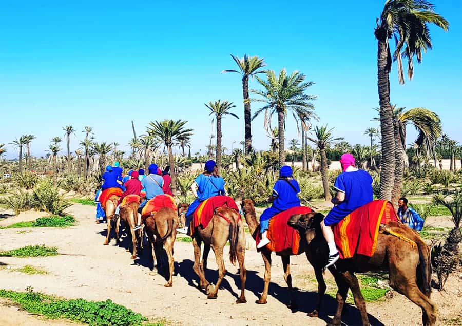 Marrakech: Half-Day Tour with Buggy Ride, Camel Ride and Spa - Timing, pickup, and practical planning