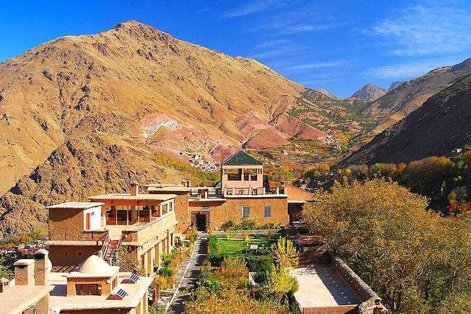 Marrakech High Atlas mountains 3 Valleys waterfalls & Camel Ride - Camel riding across the Agafay Desert