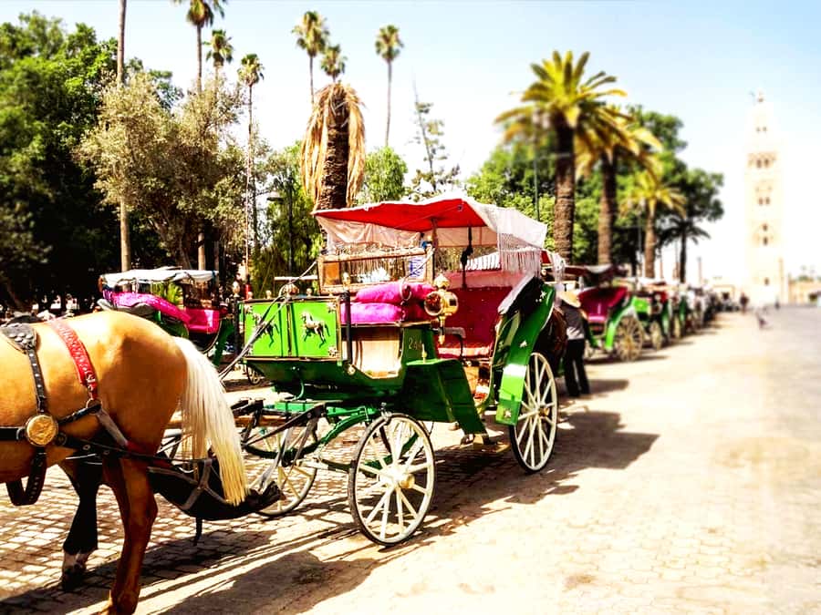 Marrakech: Horse-Drawn Carriage Tour - Why a carriage gives you a different view of Marrakech