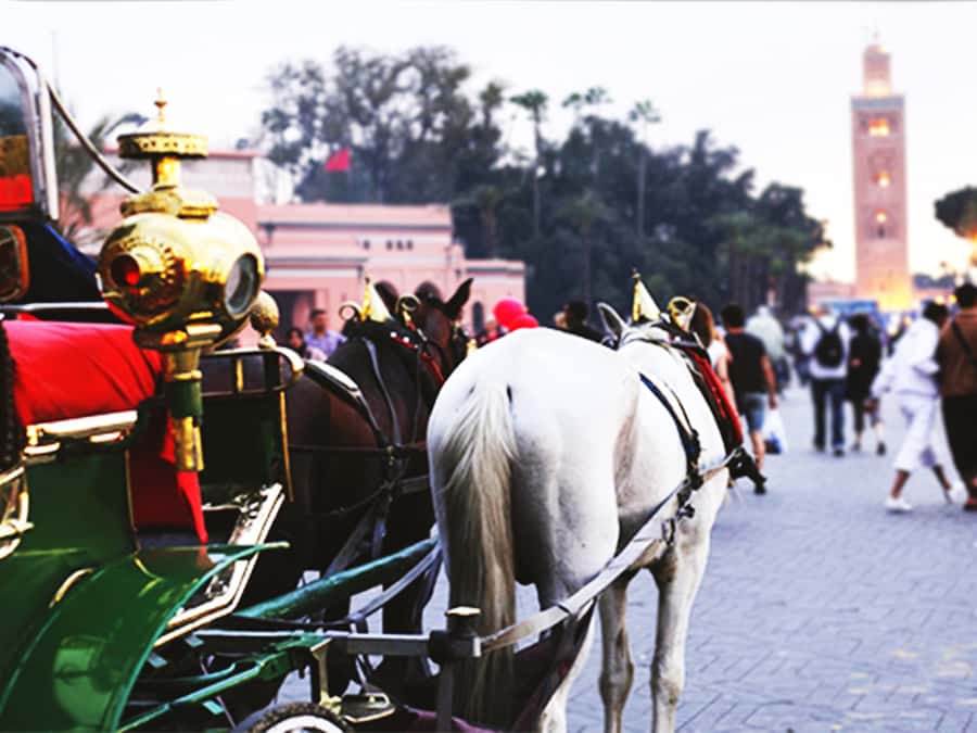 Marrakech: Horse-Drawn Carriage Tour - Hivernage brings a change of mood