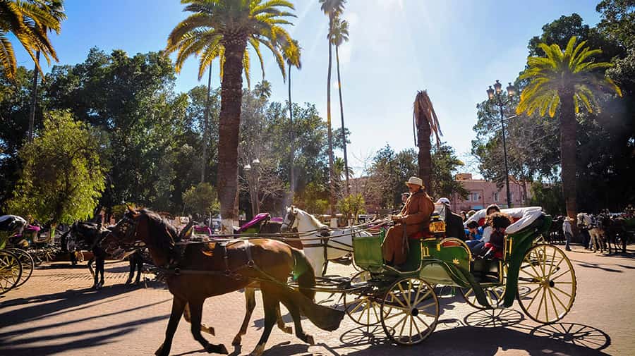 Marrakech: Horse-Drawn Carriage Tour - What the driver does, and what you should not assume