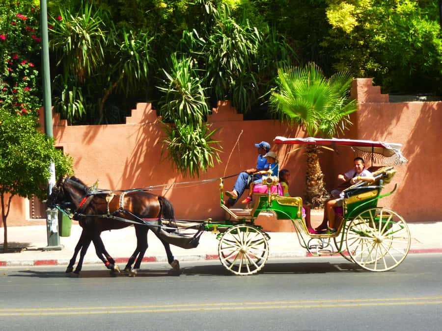 Marrakech: Horse-Drawn Carriage Tour - Pickup from your riad, hotel, or nearby meeting point