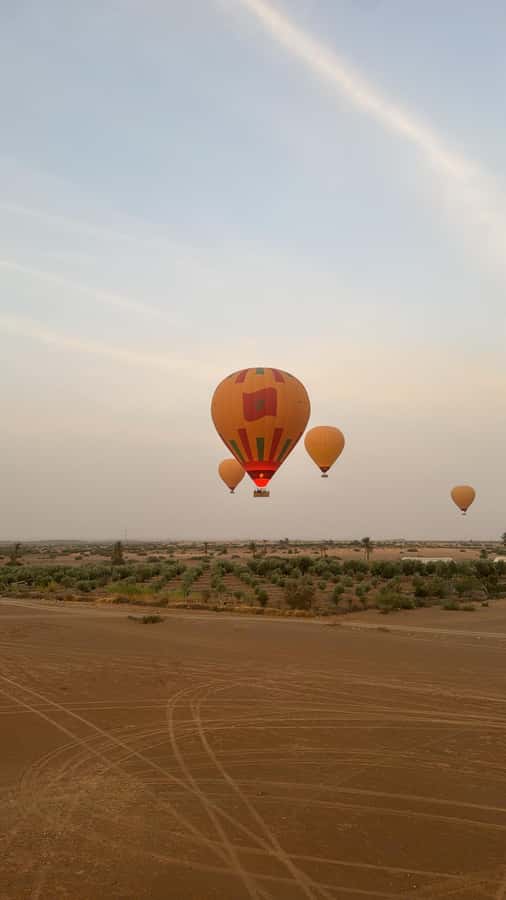Marrakech: Hot Air Balloon Flight with Berber Breakfast - Key points to know before booking