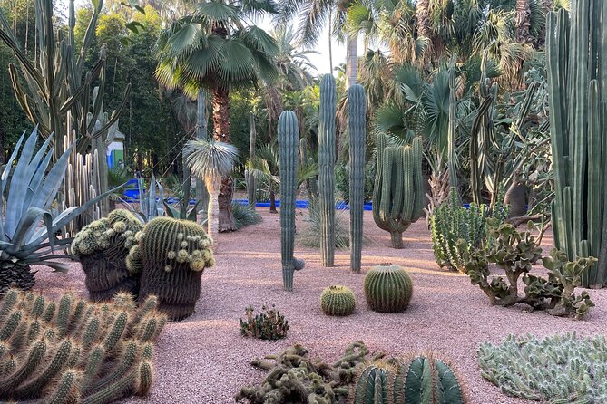 Marrakech Majorel garden entry ticket - What the Majorelle Garden actually offers