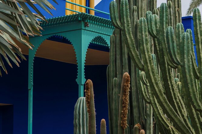 Marrakech Majorel garden entry ticket - Walking among cacti, palms, and tropical plants