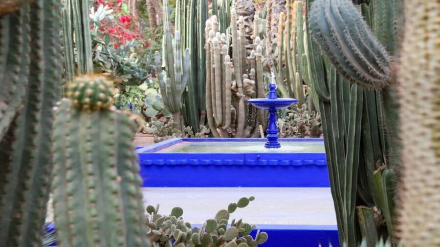 Marrakech: Majorelle Garden Entry Tickets Online - Why Majorelle Garden feels different from Marrakech