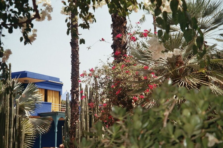 Marrakech: Majorelle Garden Entry Tickets Online - The story behind the blue garden