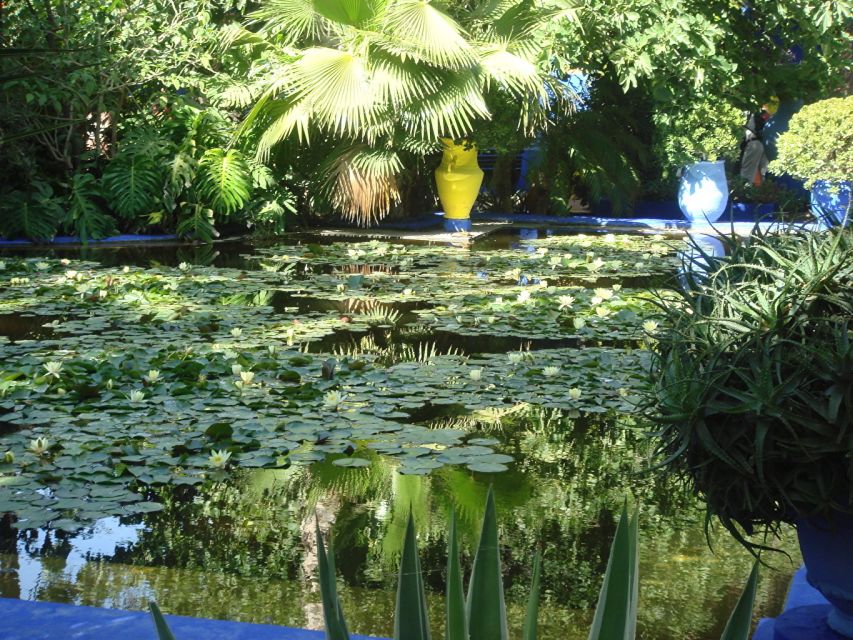Marrakech: Majorelle Garden Entry Tickets Online - The best time to visit