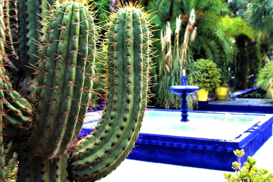 Marrakech: Majorelle Garden, Museums Tickets, & Audio Guide - Key points to know before you book