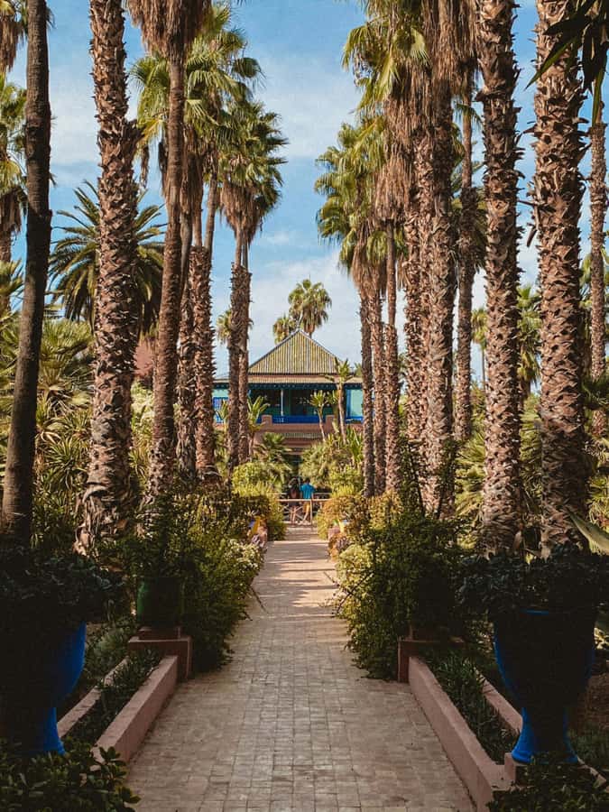 Marrakech: Majorelle Garden, Museums Tickets, & Audio Guide - Why Majorelle Garden is worth your time