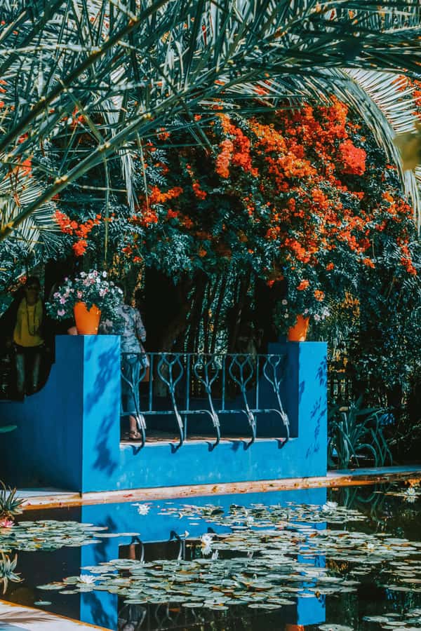 Marrakech: Majorelle Garden, Museums Tickets, & Audio Guide - Pierre Bergé Museum of Berber Arts