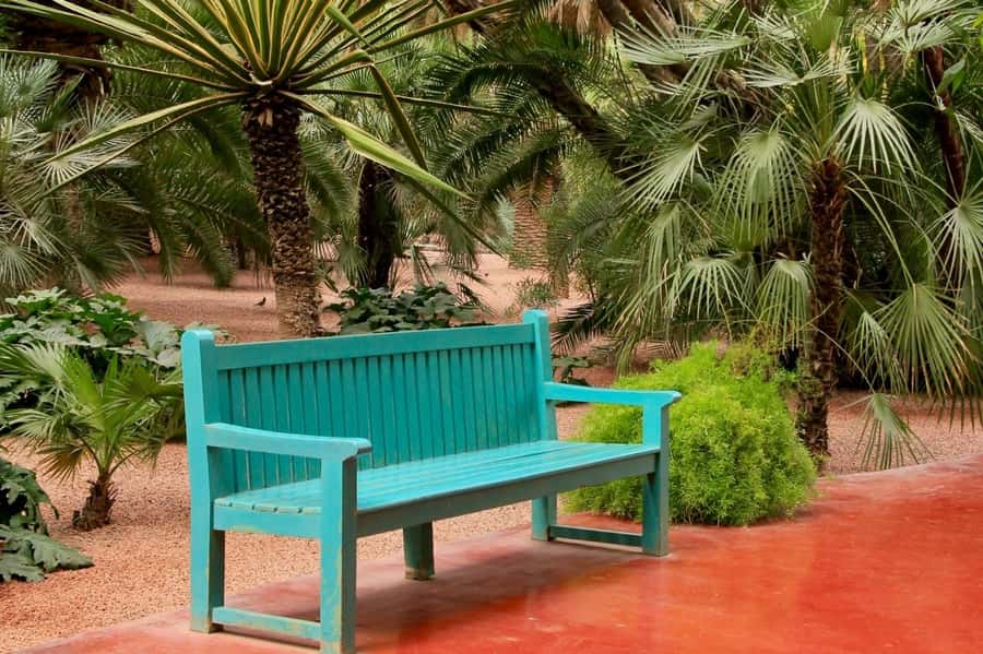 Marrakech: Majorelle Garden, YSL, and Berber Museum Entry - My advice on booking and timing