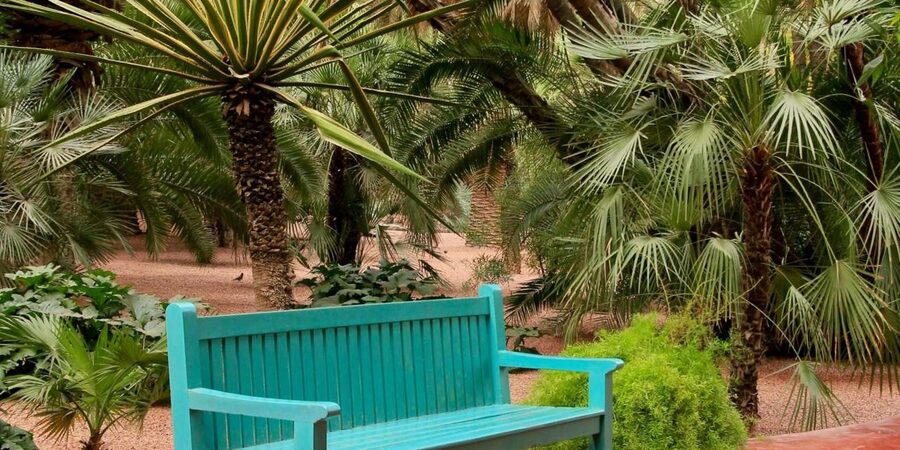 Marrakech: Majorelle Garden, YSL, and Berber Museum Entry - Who should book this experience?