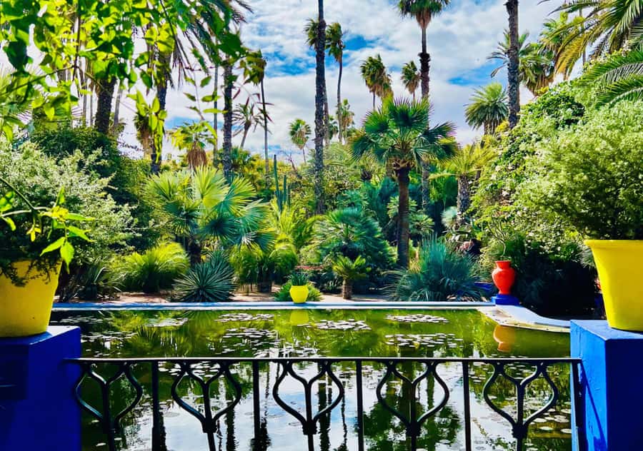 Marrakech: Majorelle & Menara Garden Tour and Carriage Ride - Menara Garden: olive trees, open space, and the Atlas Mountains