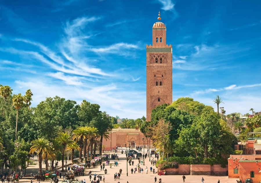 Marrakech: Majorelle & Menara Garden Tour and Carriage Ride - The guides and vehicle service