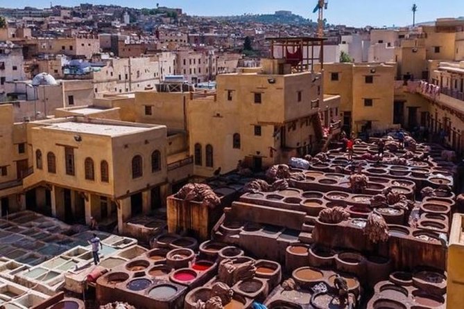 Marrakech Medina Walking Tour With official Local Guide - Is $35 a fair price?