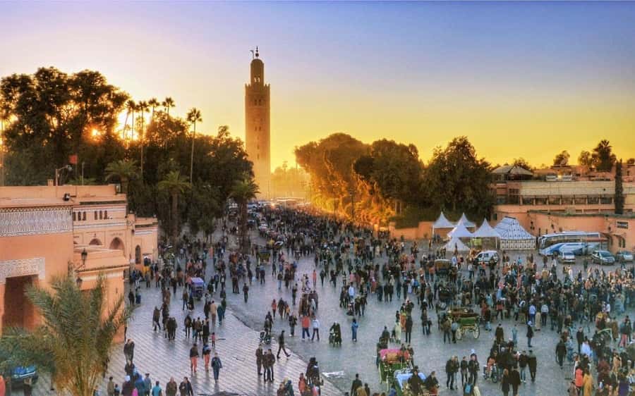Marrakech Monuments & Souks 3-Hour Tour - Transport, timing, and what to bring