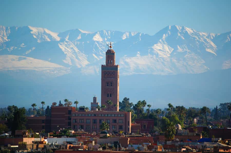 Marrakech: Moroccan Cooking Class with Amazing Local Chef! - Preparing two Moroccan salads