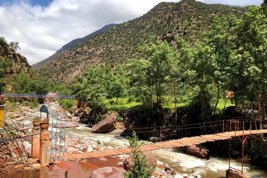 Marrakech: Ourika Valley and Atlas Mountains Day Trip - Should you book it?