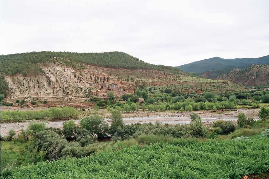 Marrakech: Ourika Valley and Atlas Mountains Day Trip - How the day’s value works at $7