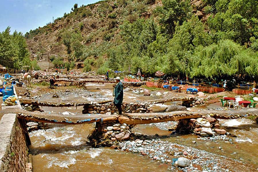 Marrakech: Ourika Valley and Atlas Mountains Day Trip - Guides, drivers, and the feel of the group