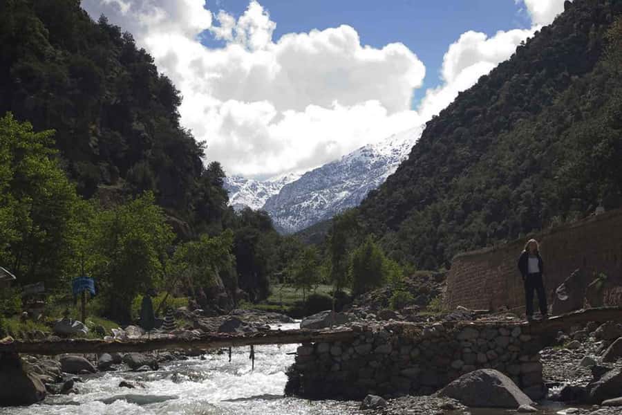 Marrakech: Ourika Valley and Atlas Mountains Day Trip - Who should book this Ourika day trip?