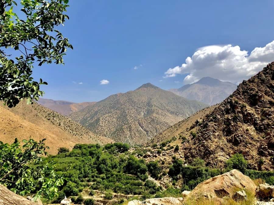 Marrakech: Ourika Valley & Atlas Mountains Half-Day Trip - Free time beside the Ourika River