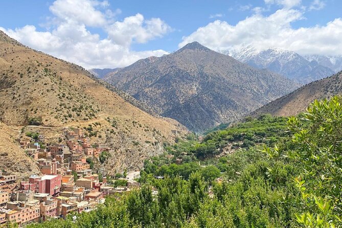 Marrakech: Ourika Valley & Atlas Mountains Shared Trip with lunch - A Berber home and the women’s argan oil cooperative