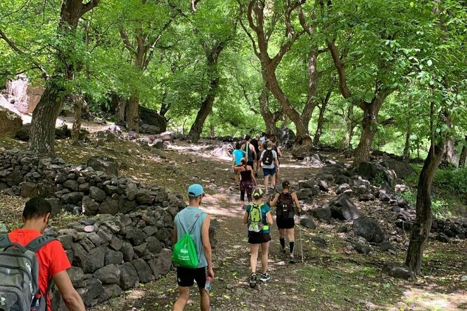 Marrakech: Ourika Valley, Atlas Mountains, Waterfalls & Lunch - Guides, drivers, and the human side of the day