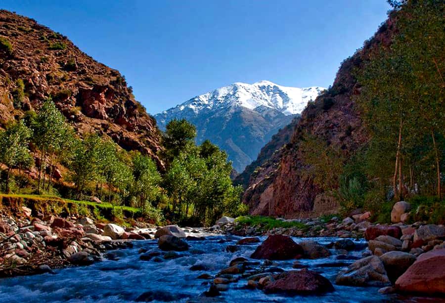 Marrakech: ourika valley Atlas Mountains & Waterfalls Trip - From Marrakech to the Ourika Valley