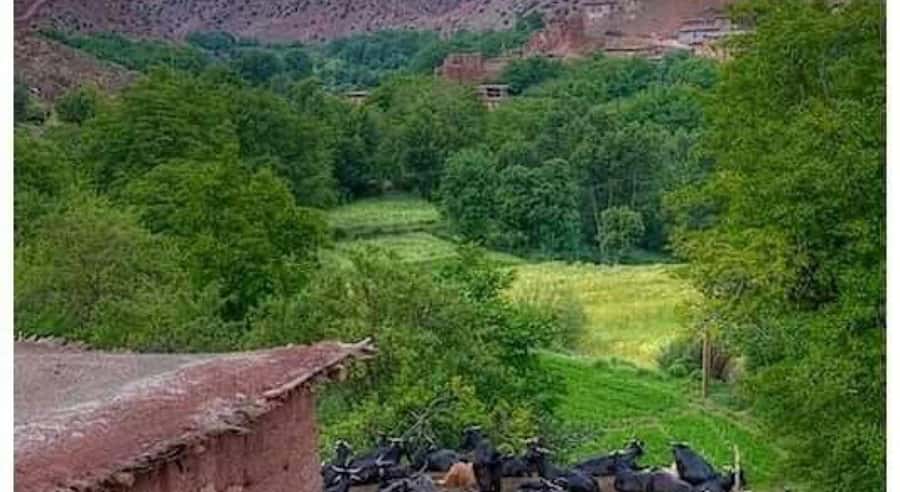 Marrakech: ourika valley lunch & guided hike to waterfalls - A short look at Berber and Amazigh village life
