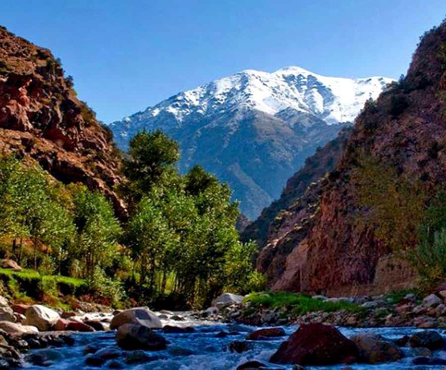 Marrakech: Ourika Valley,Waterfalls, Atlas Luxury Day trip - Setti Fatma and the waterfall walk