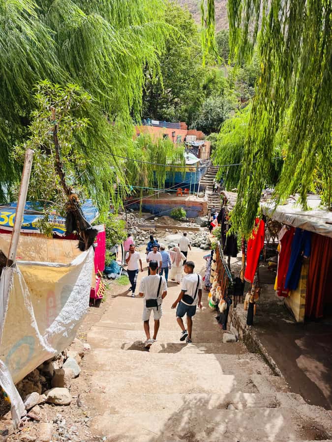 Marrakech: Ourika Valley Waterfalls & guided hike - Who Will Enjoy This Day Most