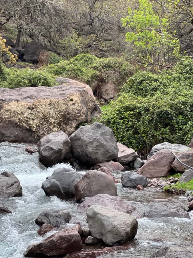 Marrakech: Ourika Valley Waterfalls Hike & Traditional Lunch - Is $25 good value for a full day out?